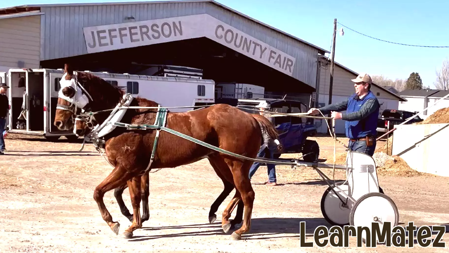 Assessment findings prompt UI equine education push