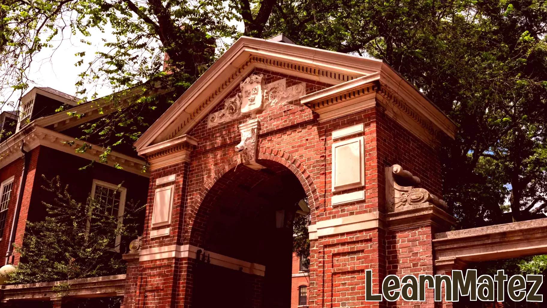 Consequences of Education Budget Cuts on Future Generations