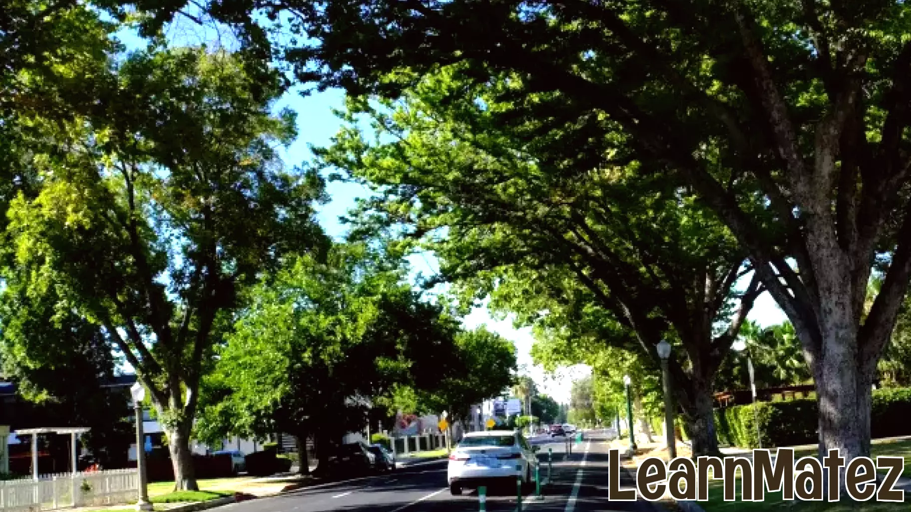 Fresno Secures State Grant to Enhance Bicycle Safety Education