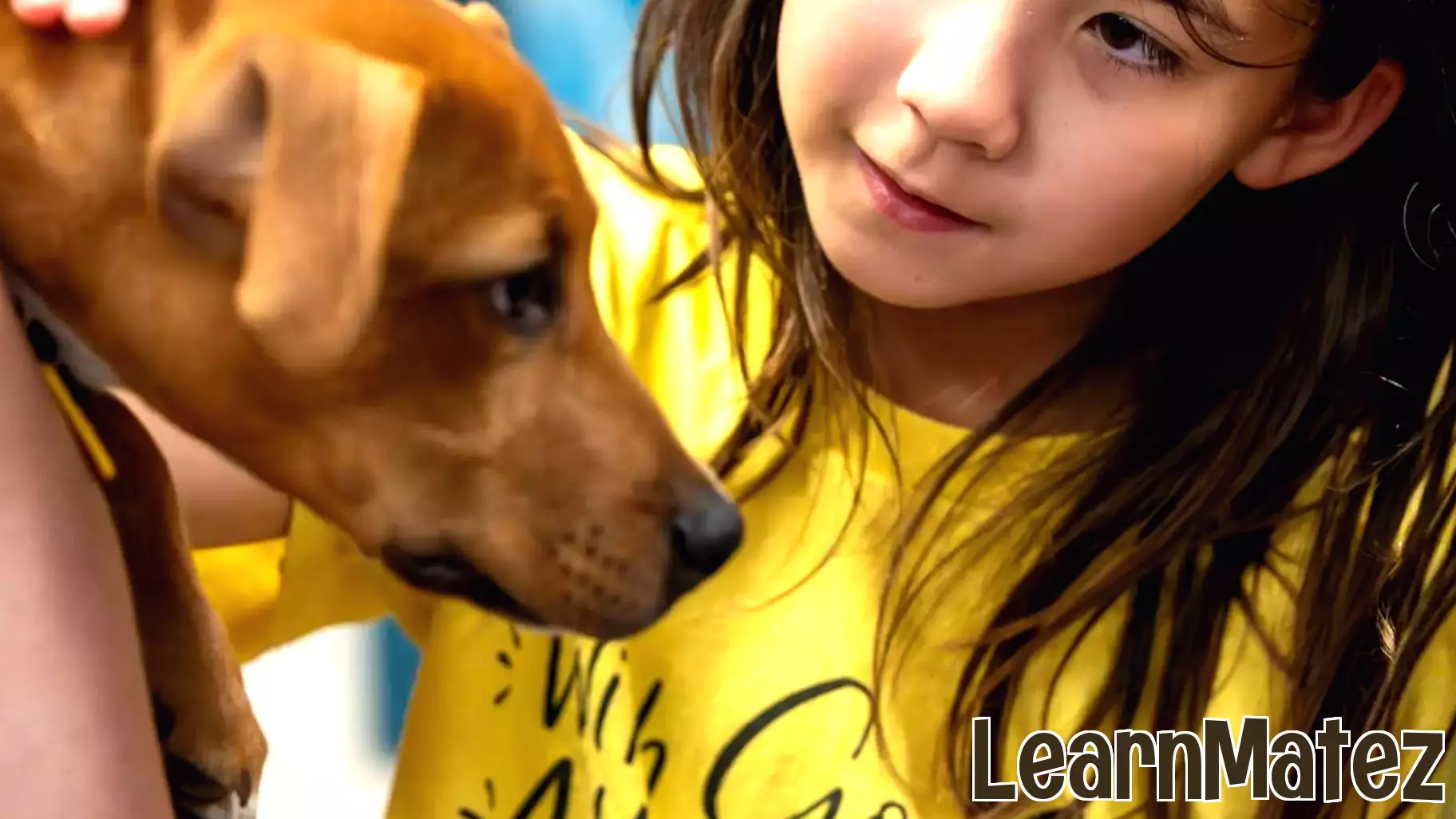 Learning through connection: How educational programming at Animal Humane Society benefits both humans and animals