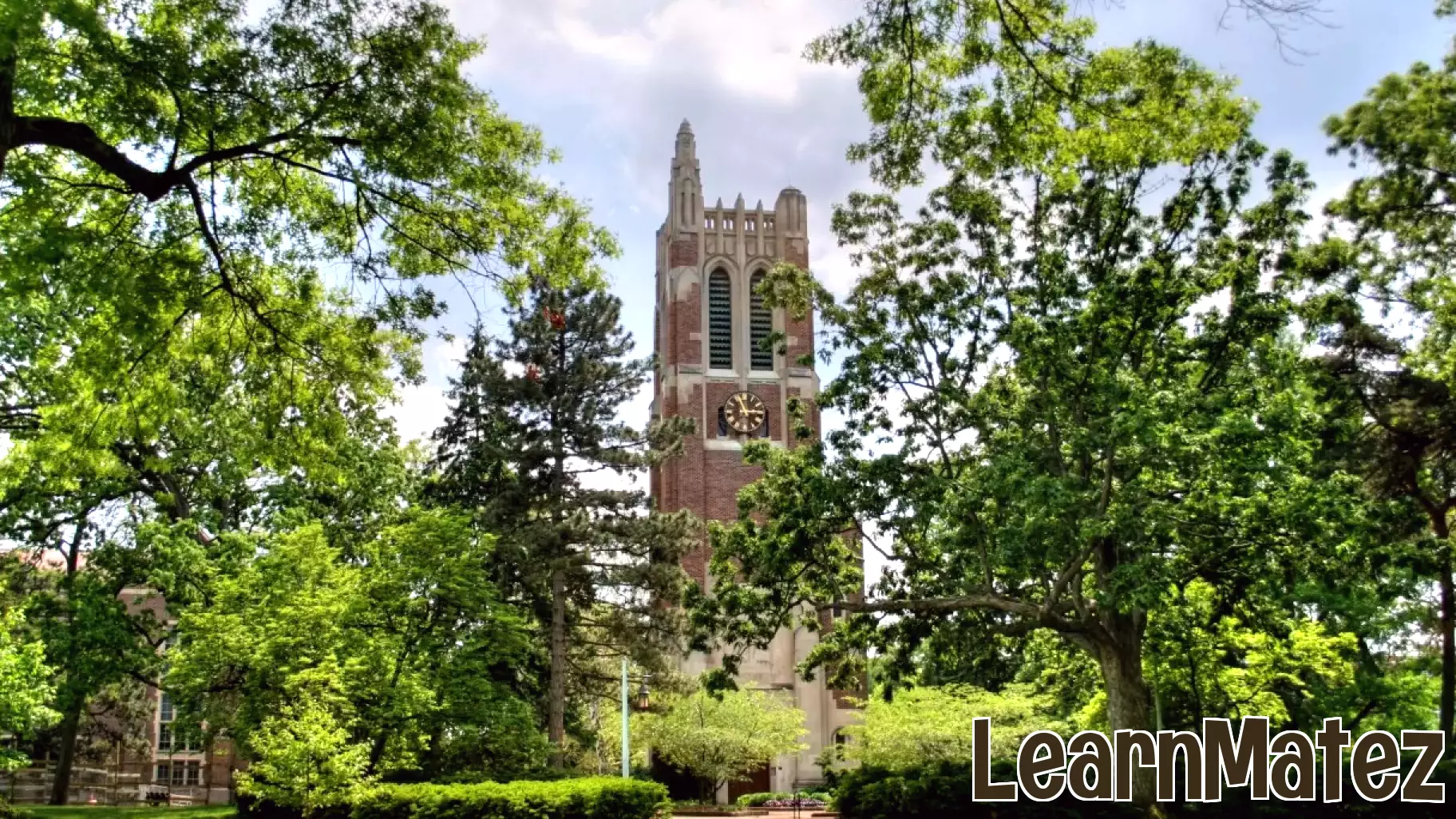 Michigan State University Recognized as 10th Best College in Michigan
