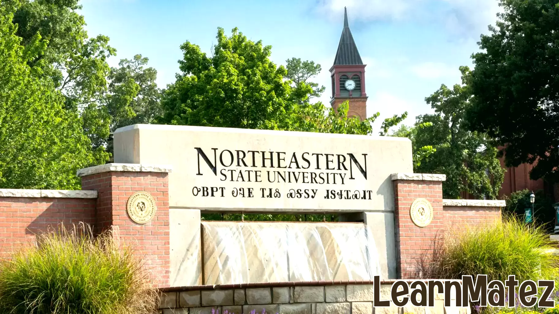 NSU RiverHawks Scholar Program seeks community internship partners
