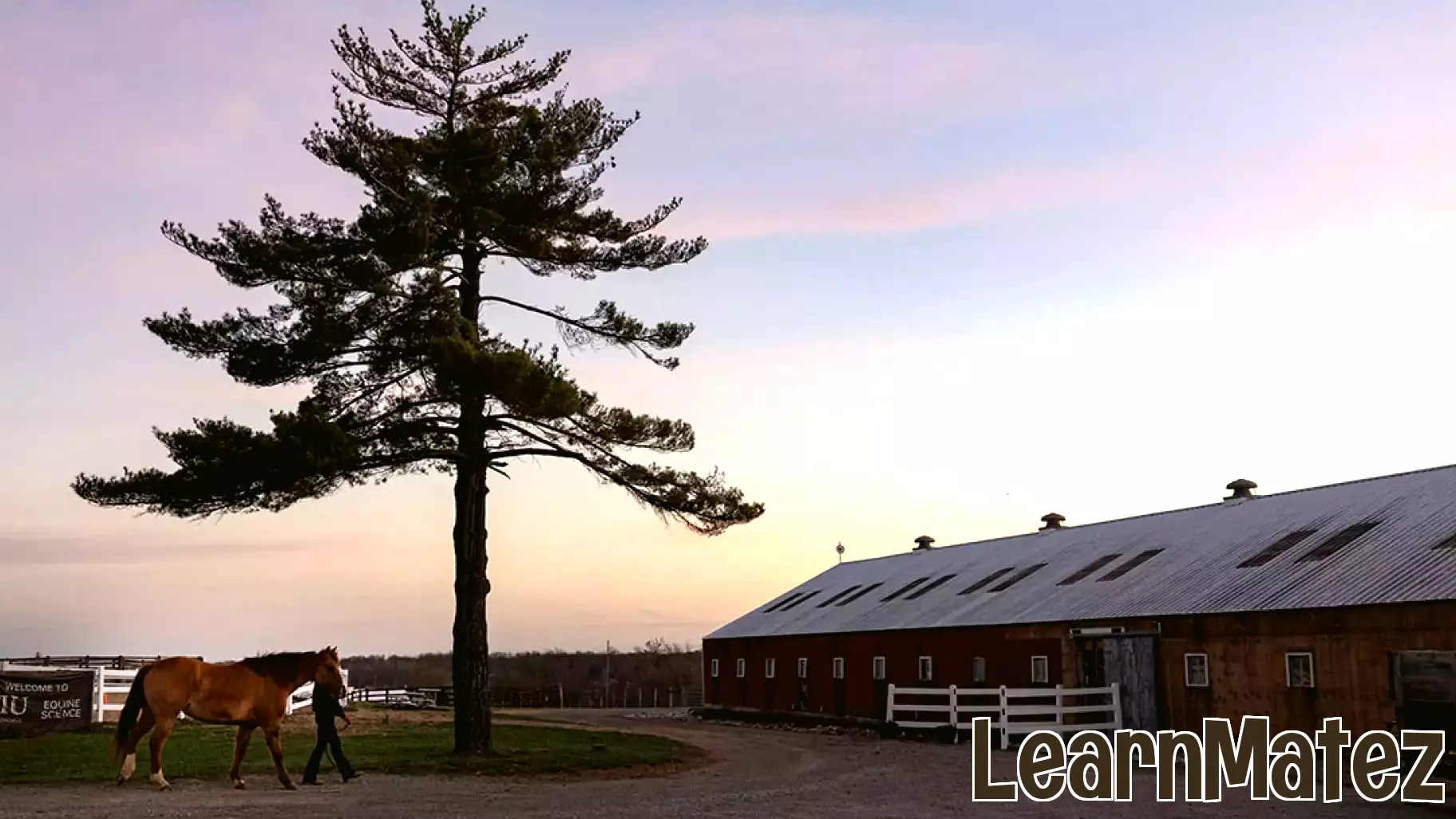 SIU Battles Funding Cuts and Political Challenges to Sustain Rural Education and Economy
