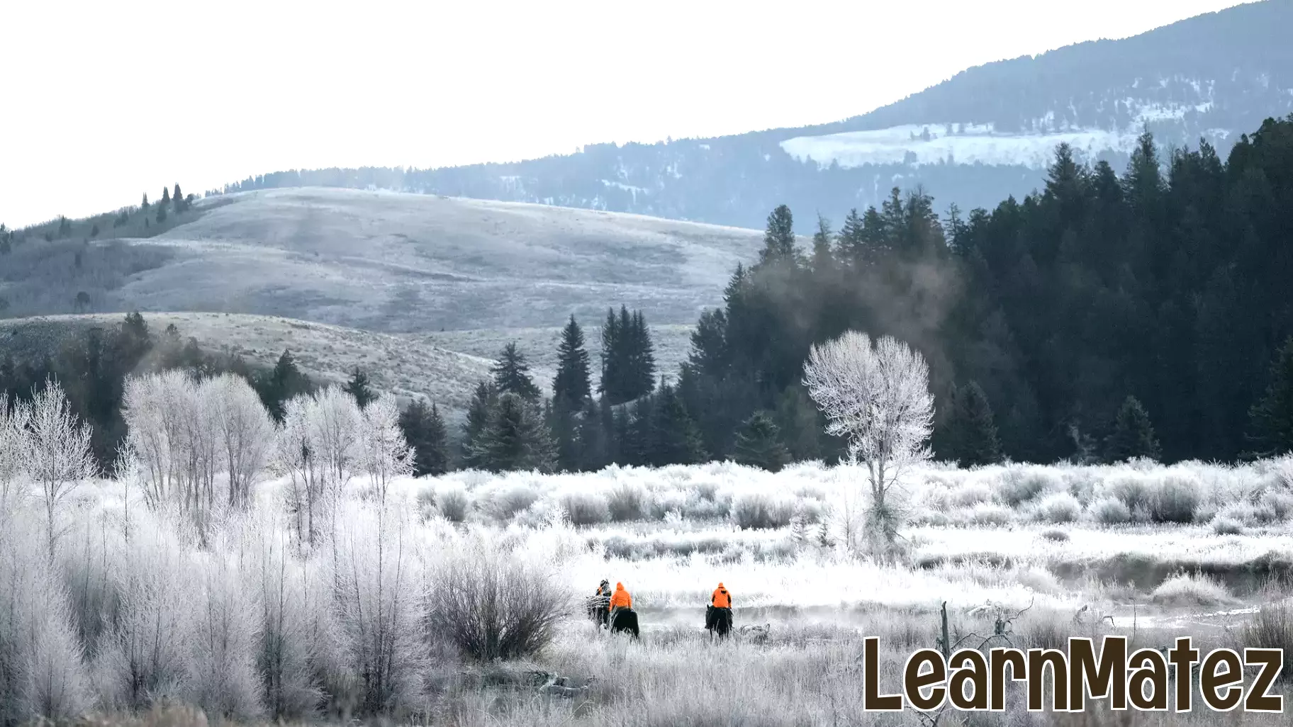 Wyoming Game and Fish Department Announces Hybrid Hunter Education Class