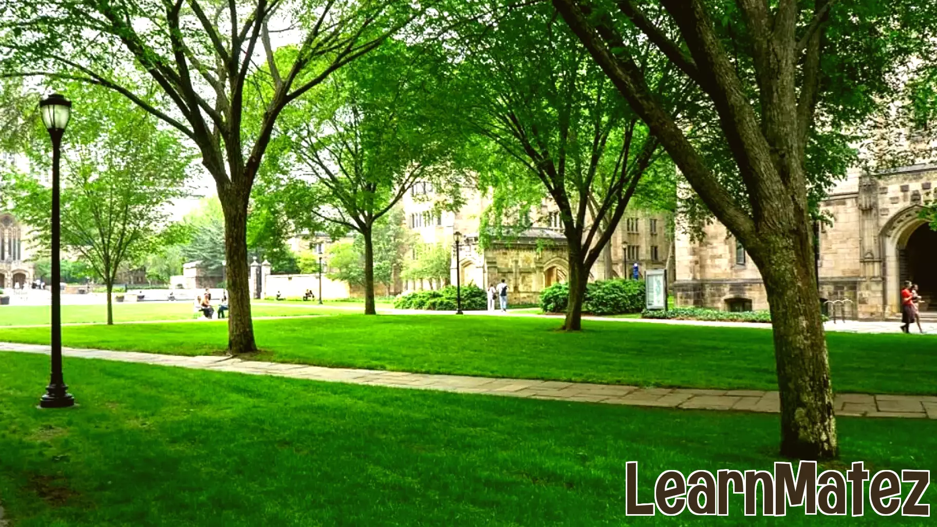 Yale's Admission Crisis: A Symptom of Higher Education's Deeper Trust Deficit