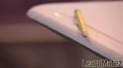 Danville Public Schools Celebrates Education Support Personnel of the Year