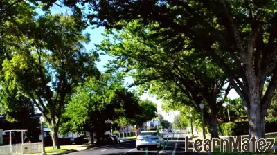 Fresno Secures State Grant to Enhance Bicycle Safety Education