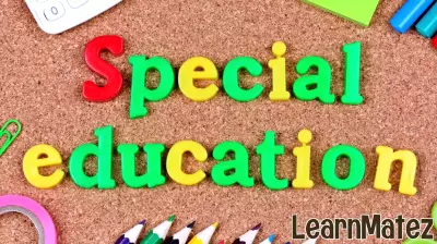 Greenville Area School District receives special education training grant
