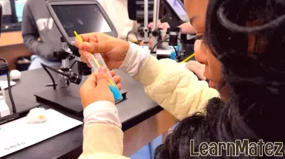 Mount St. Joseph University receives funding for STEM education