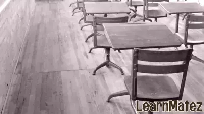 Understanding the Historical Roots of the U.S. Education Department